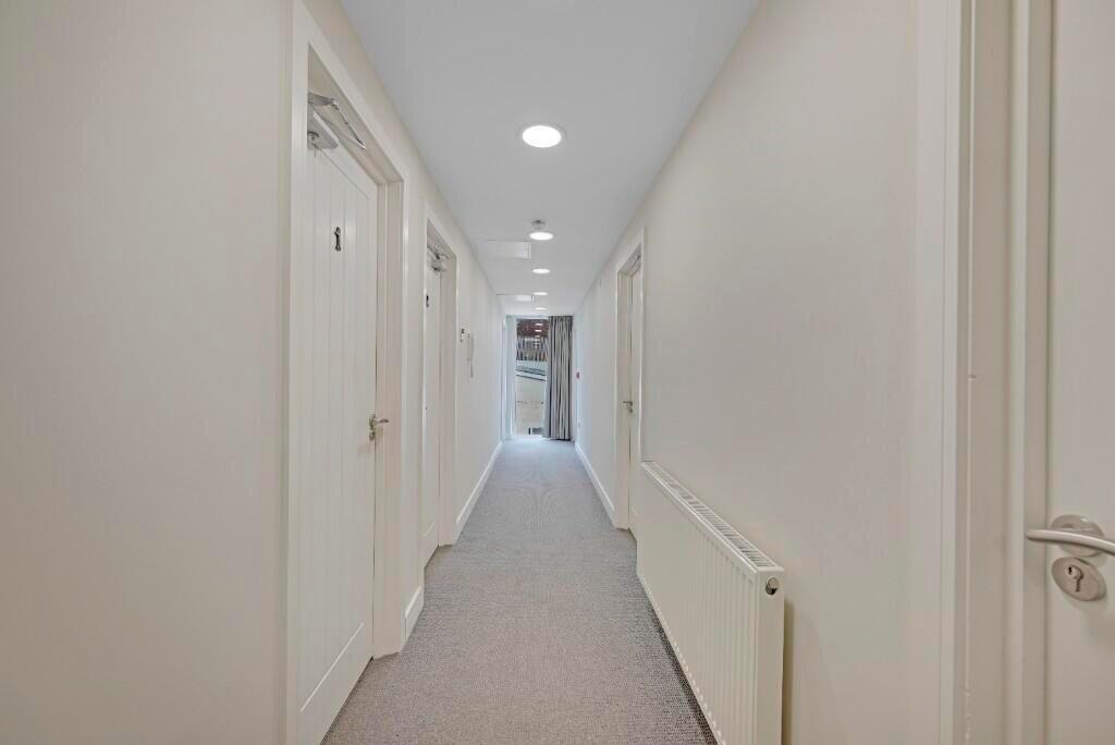 Bright and clean hallway featuring soft carpeti...