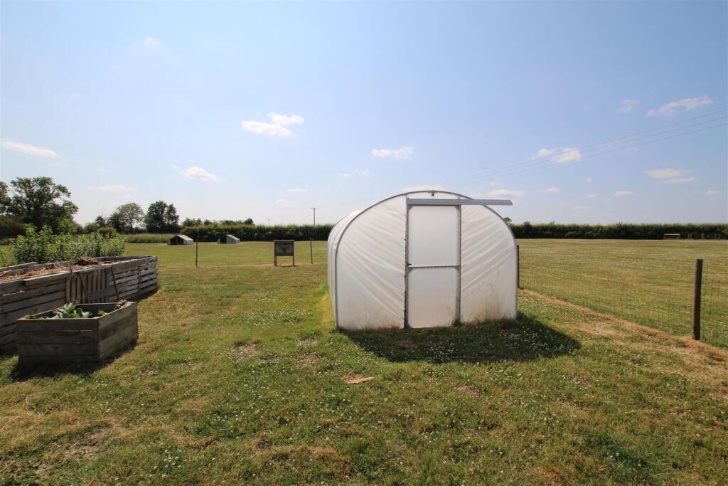 Polytunnel.JPG