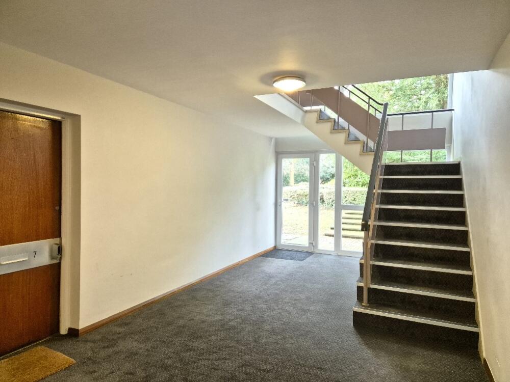 20250205_114853_resized_1