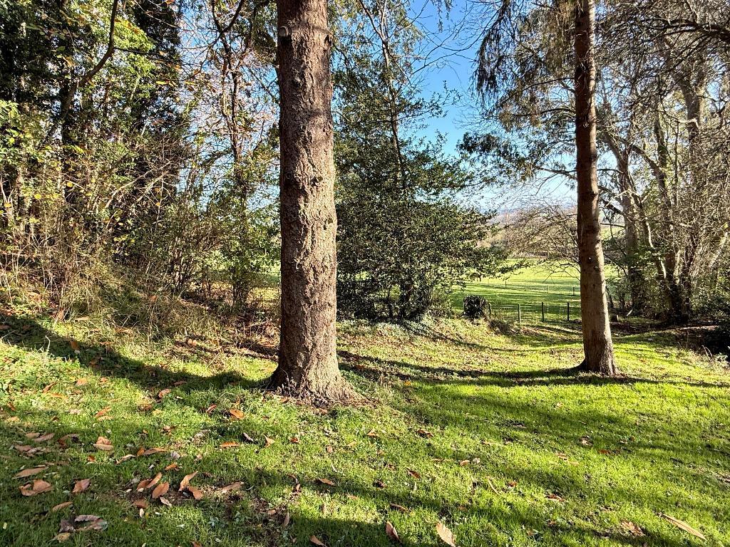 Magical land for children to romp