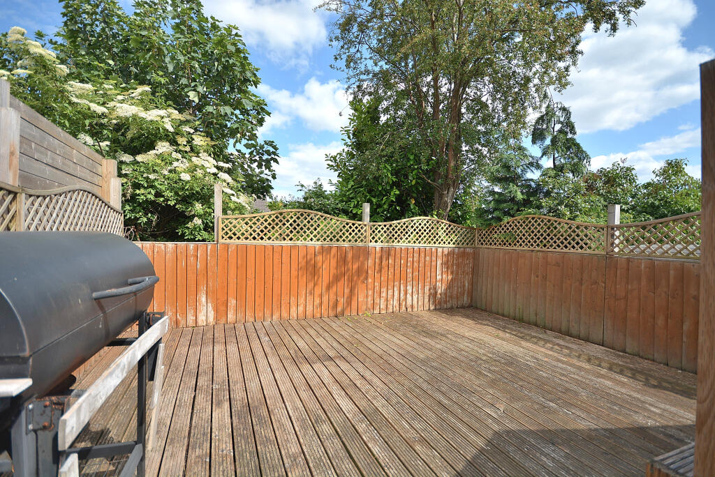 DSC 0517 T202510081142.jpg