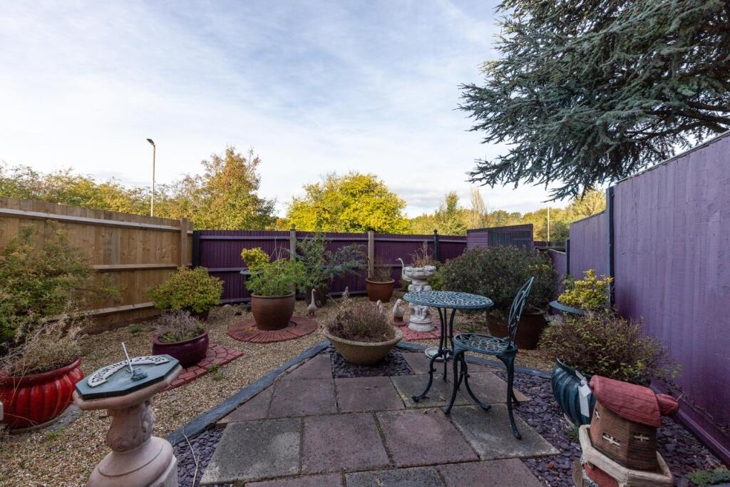 30 Sanderling (12 of 15).jpg