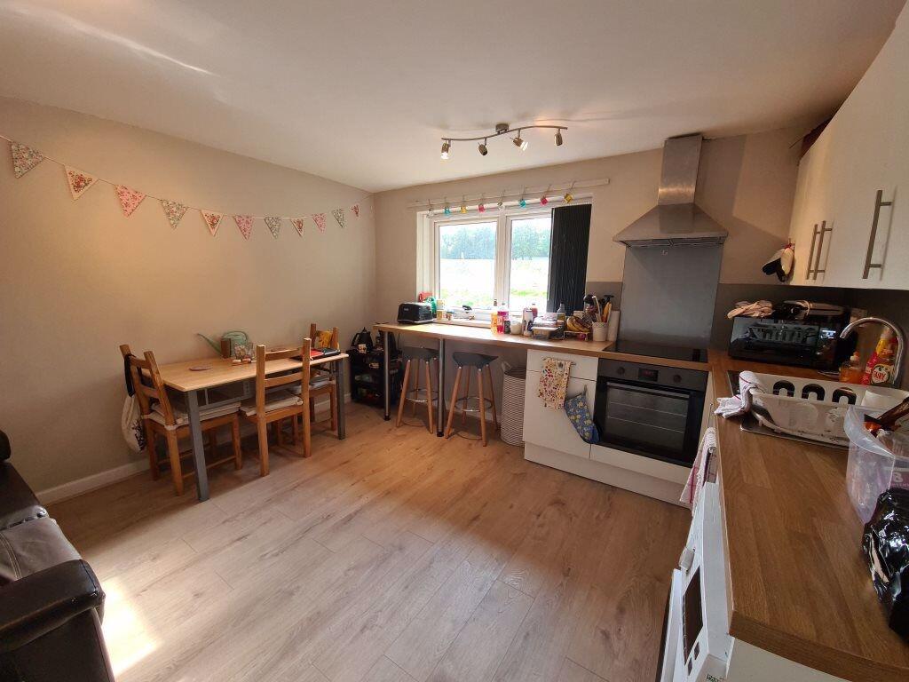Bright and tidy kitchen featuring modern applia...