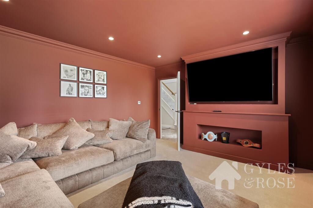 Cinema/Living area