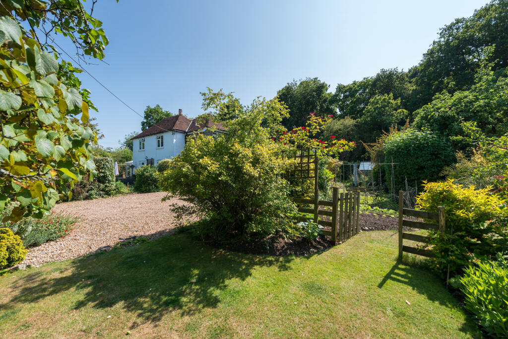 Driveway/Side Garden