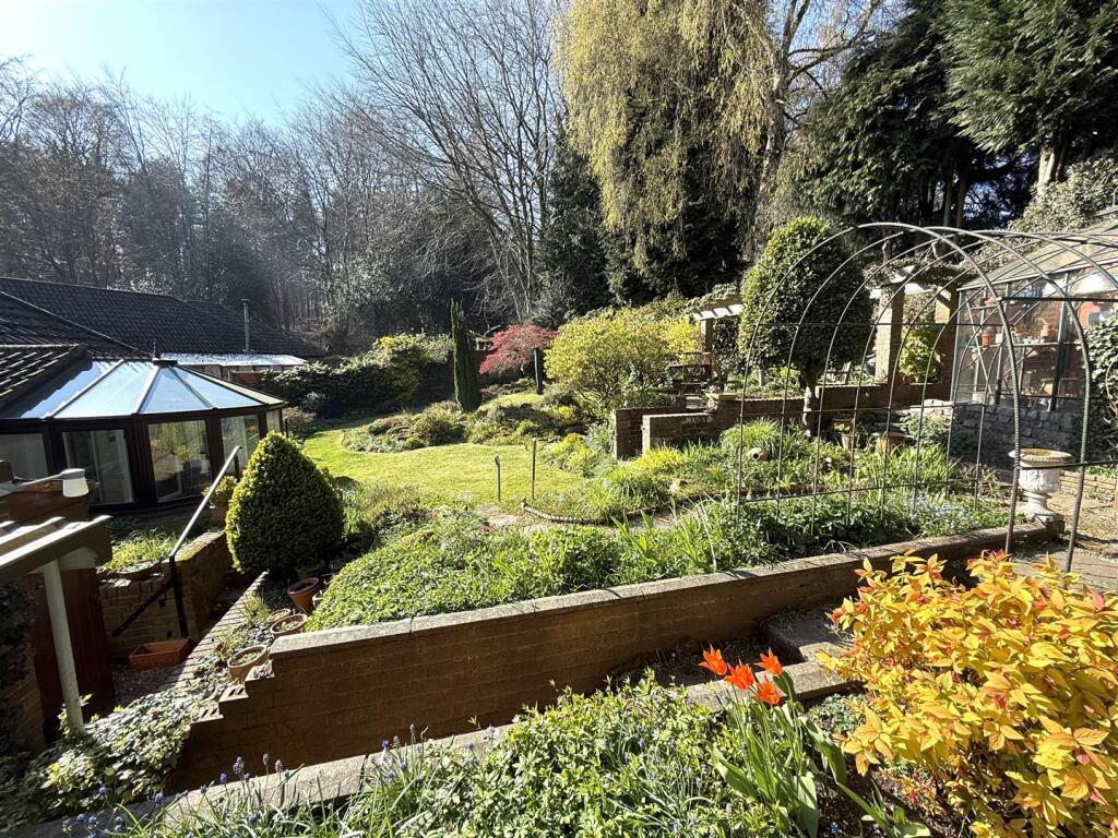 16 the ping new rear.jpeg