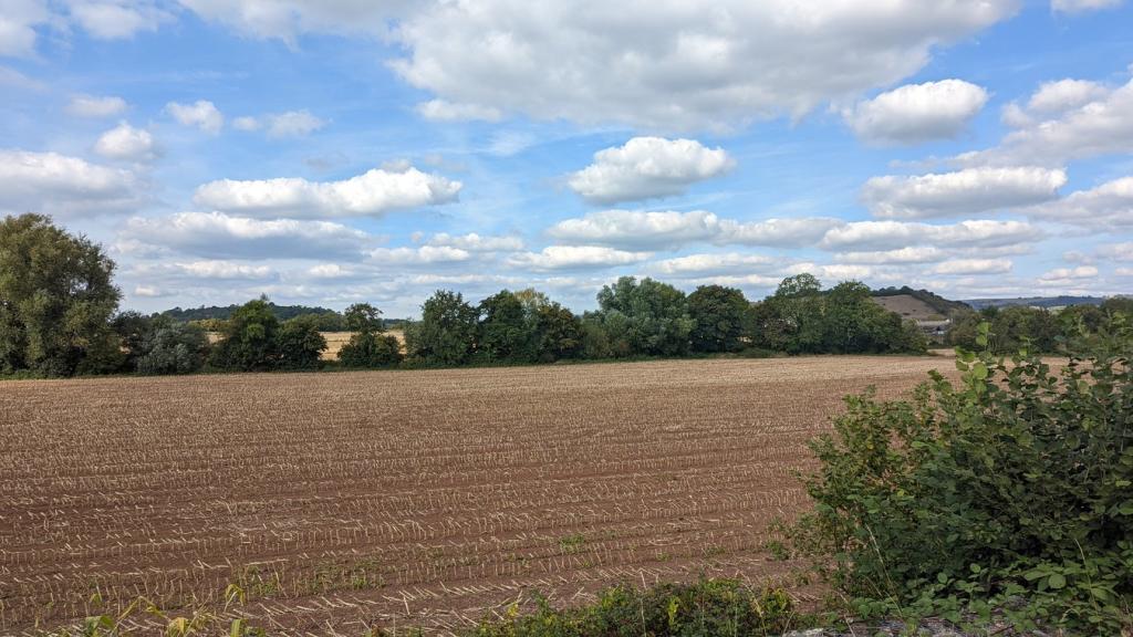 View over open field