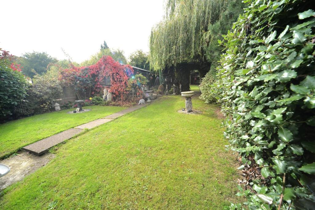 Garden.JPG