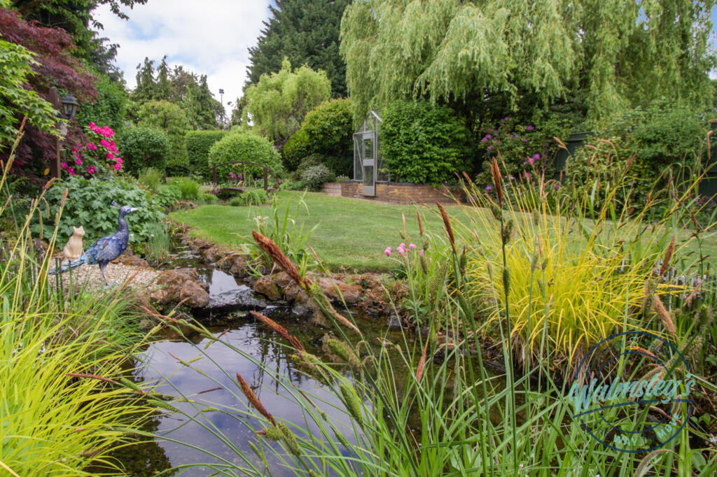 Pond and stream