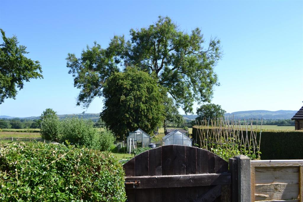 DSC_0031.JPG