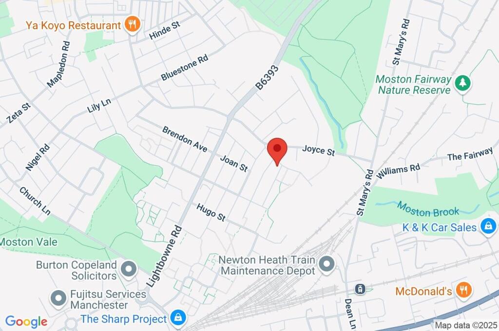 Google Maps Image