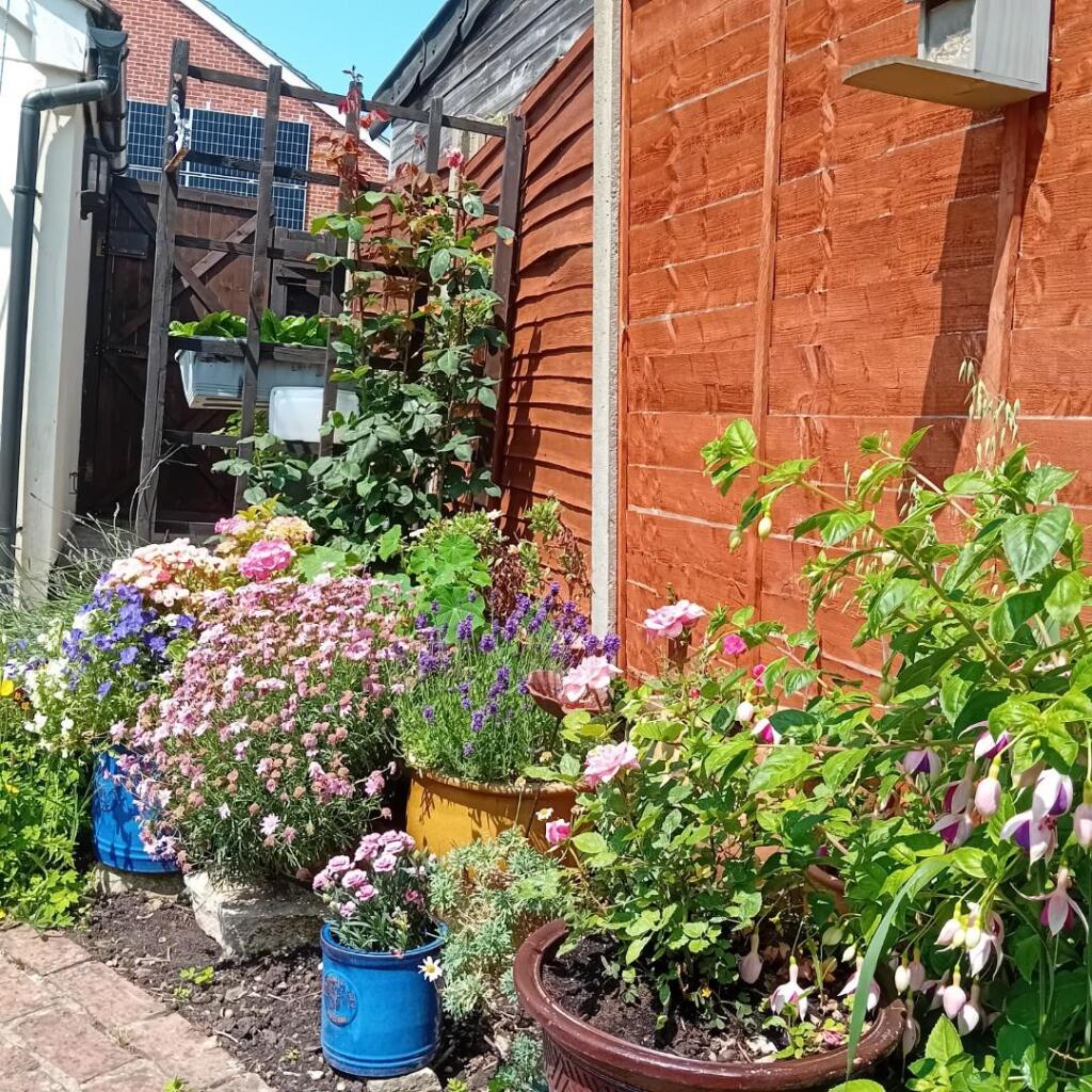 GARDEN 2 V.jpg