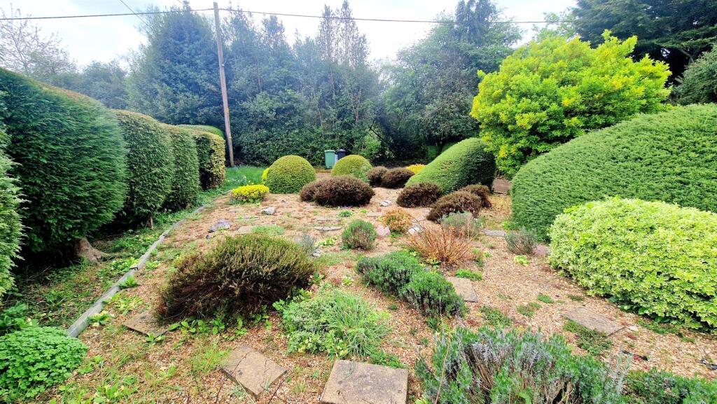 FRONT GARDEN.jpg