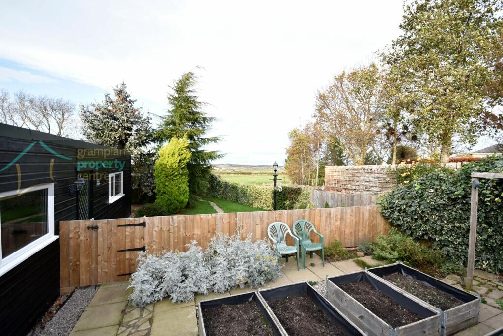 garden 5.JPG