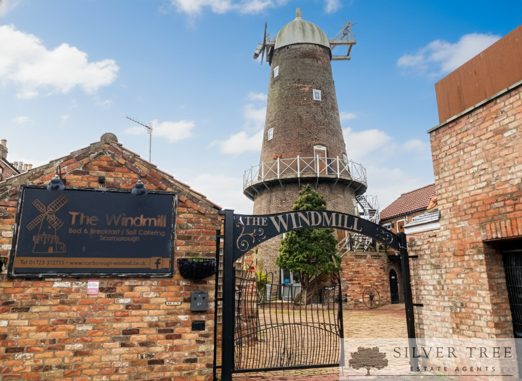 Gemini_Generated_Image_mupz7imupz7imupz