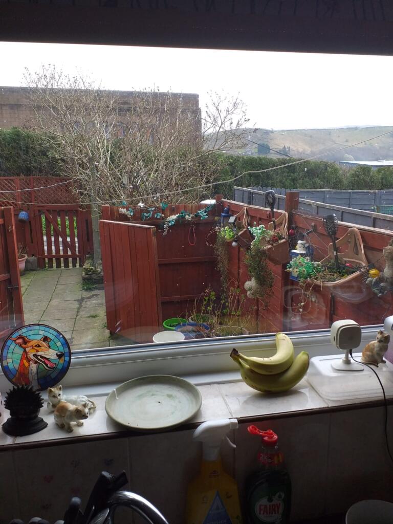 View from the kitchen