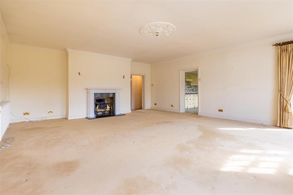 3 Campions, (10).jpg