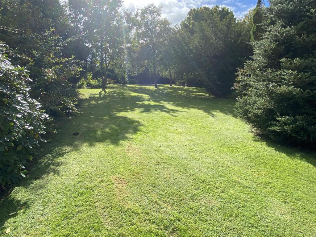 new gardens 1.JPG