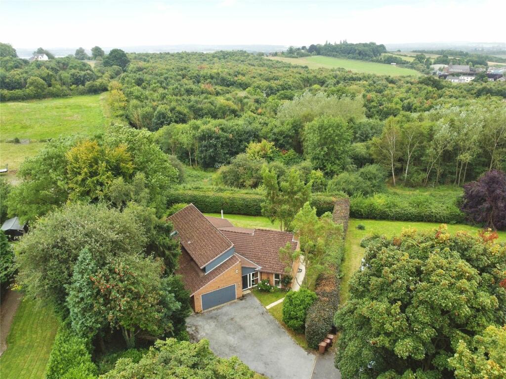 Ariel View