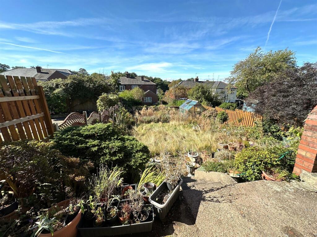 garden 2.jpg