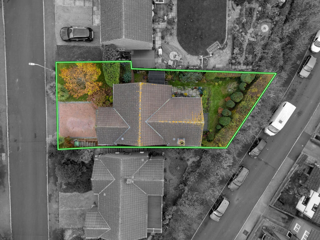 TEK HiRes 251106 001.jpeg