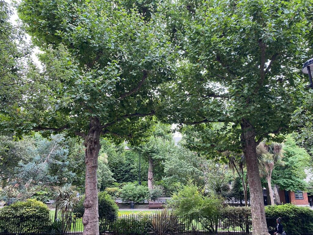 Gardens