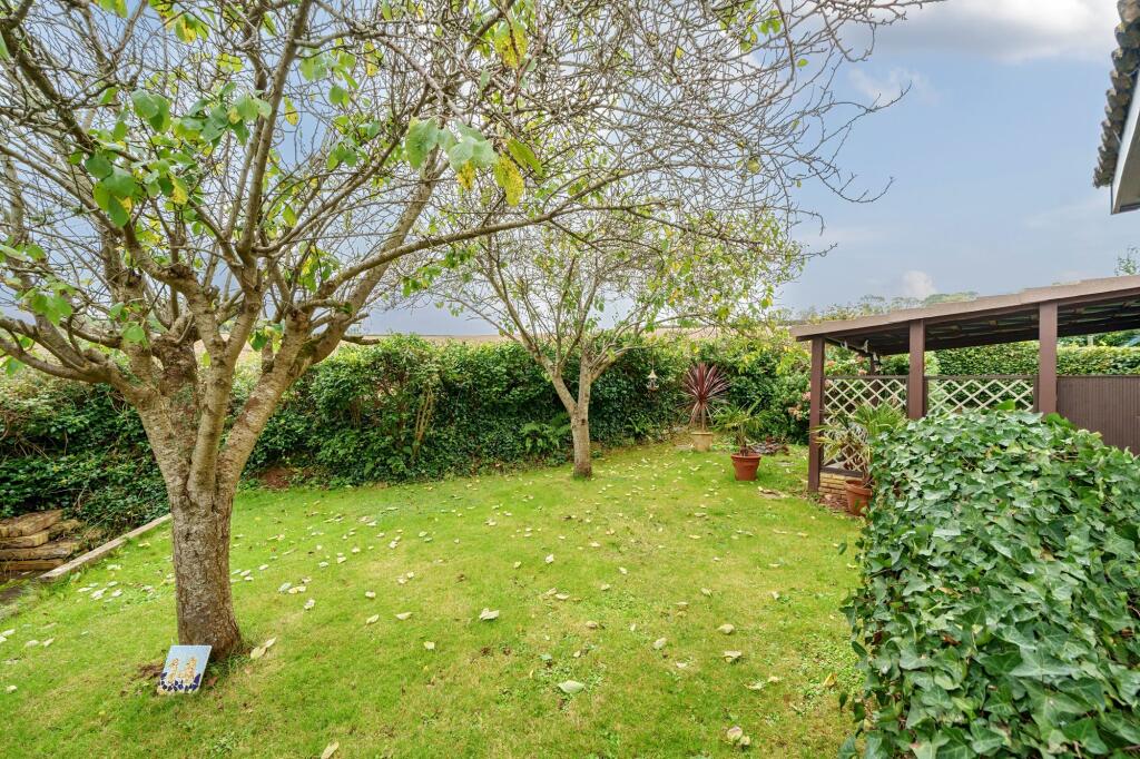 Rear gardens