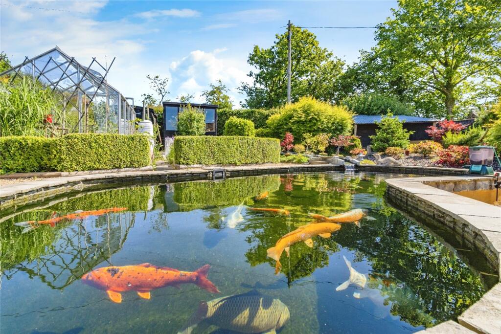 Koi Pond