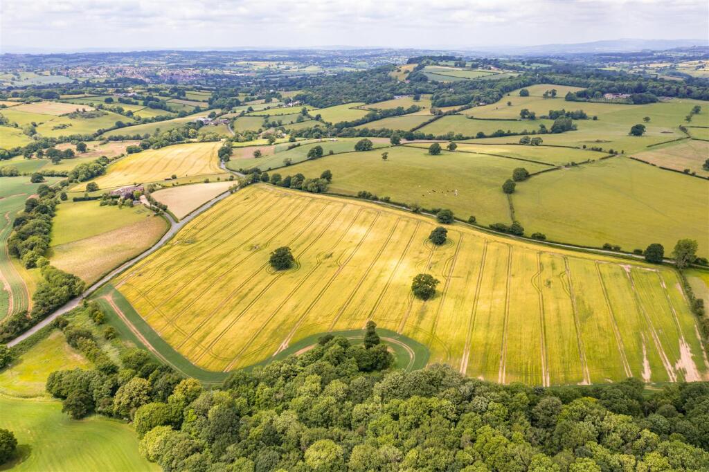 DJI_0696.jpg