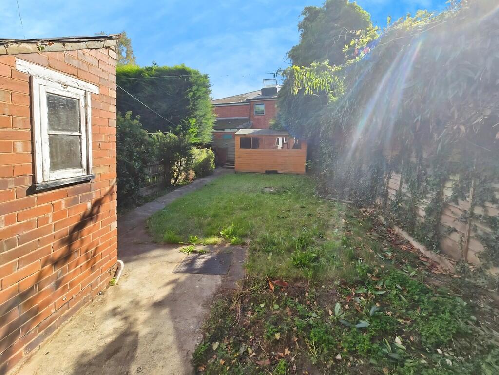 3dd32c45-Back 20g...