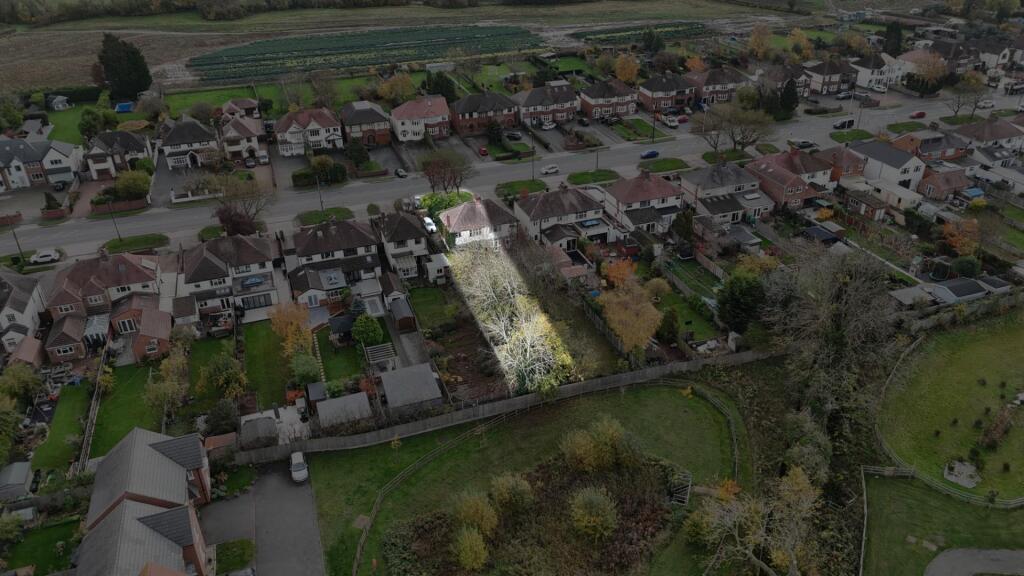 DJI_20250308151003_0461_D.JPG