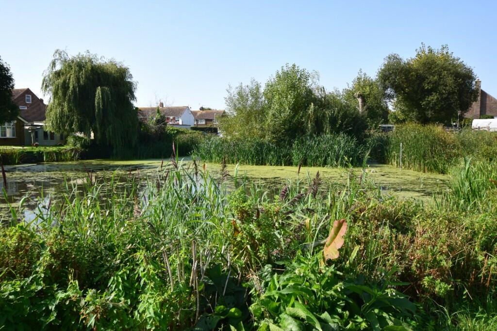 Westham pond