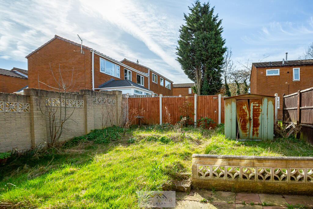 Back garden 1.1