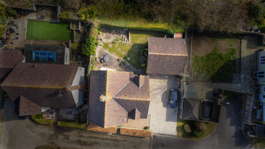 dji_fly_20250320_122150_175_1742473404787_photo_op