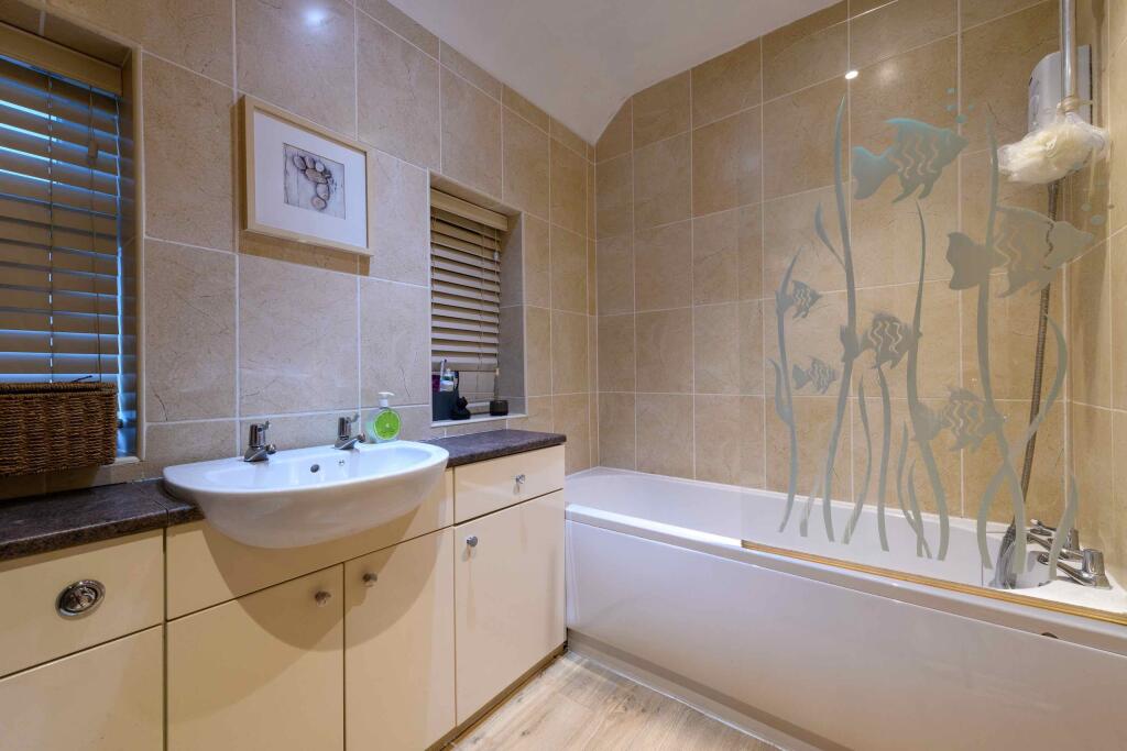 TEK HiRes 250205 056.jpeg