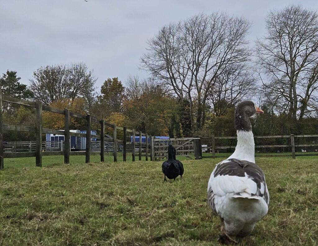 dc32749b-80c8-4b1...