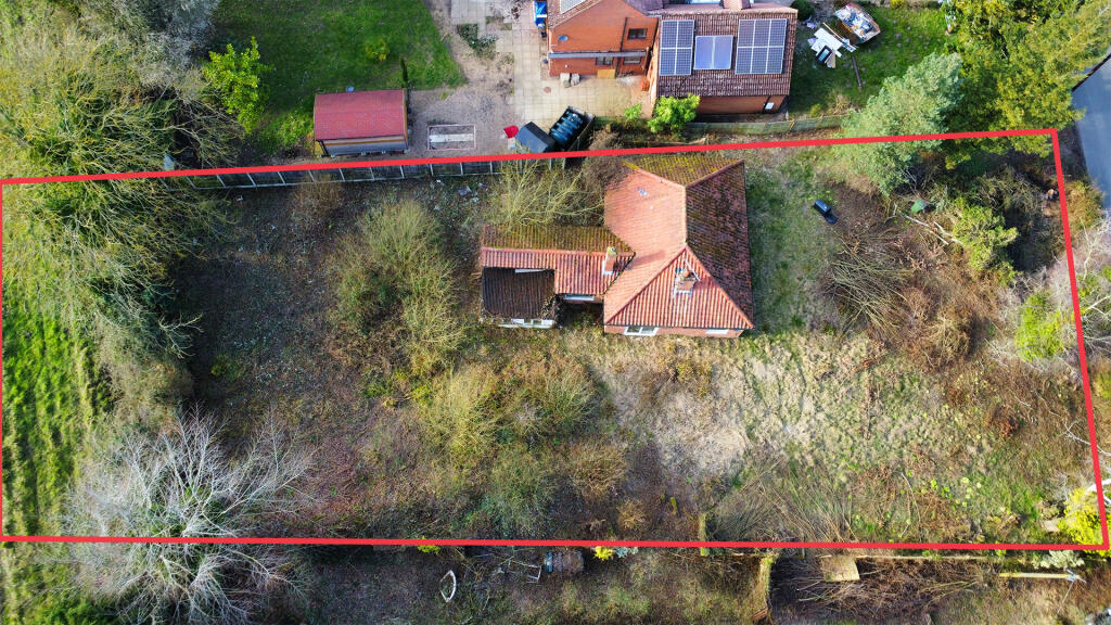 Cookroad T202503141054.jpg