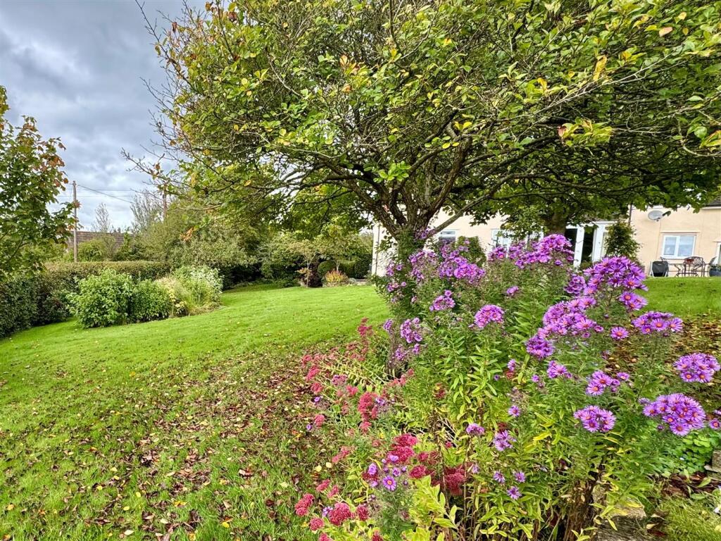 garden.jpg