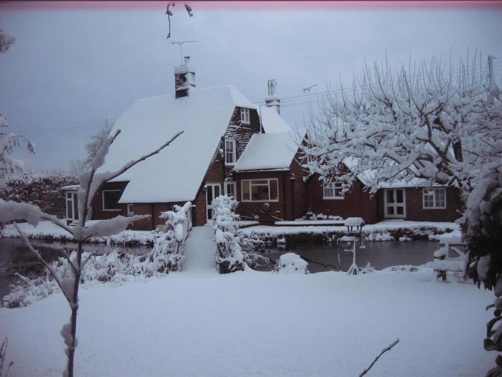 photo 1.jpg