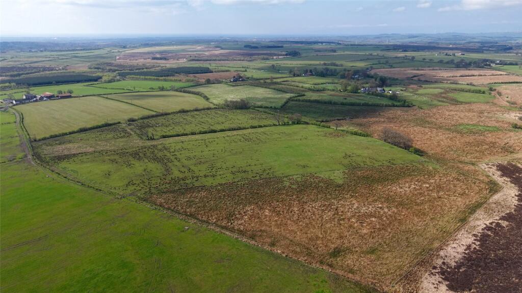 Land