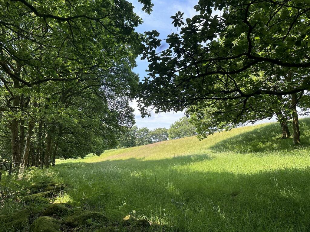IMG_7337.jpeg