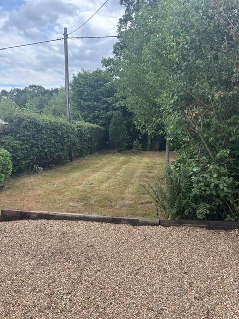 Garden.jpg