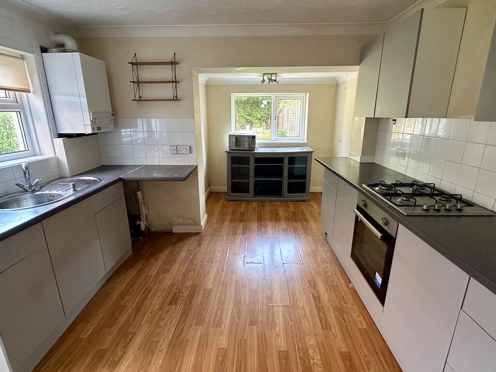 IMG_2944