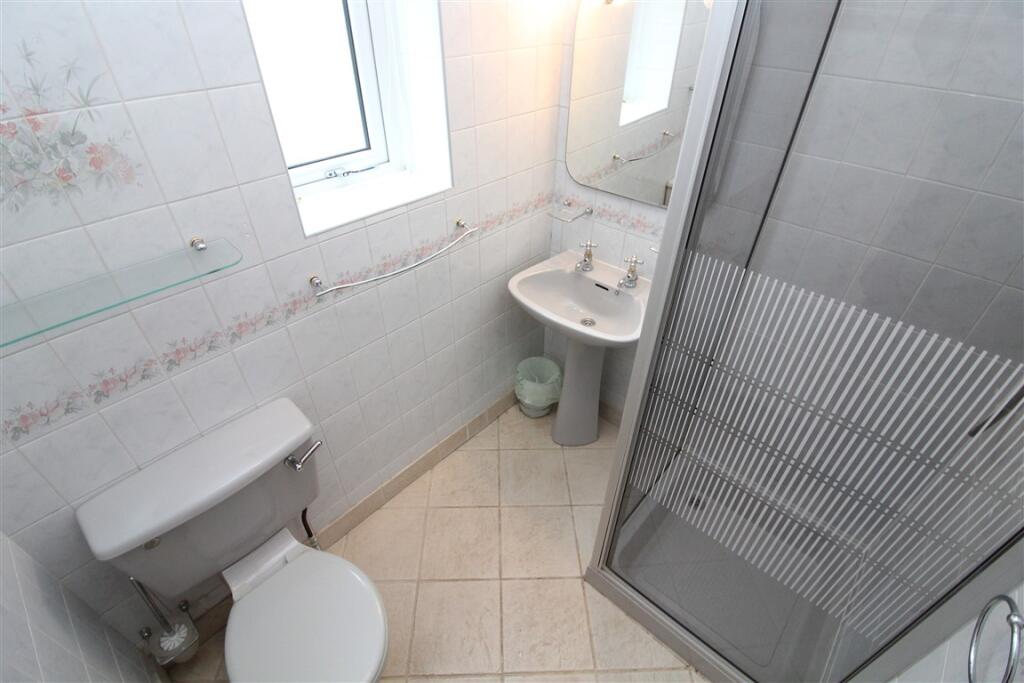 IMG 6811  Medium  T202510021650.jpg