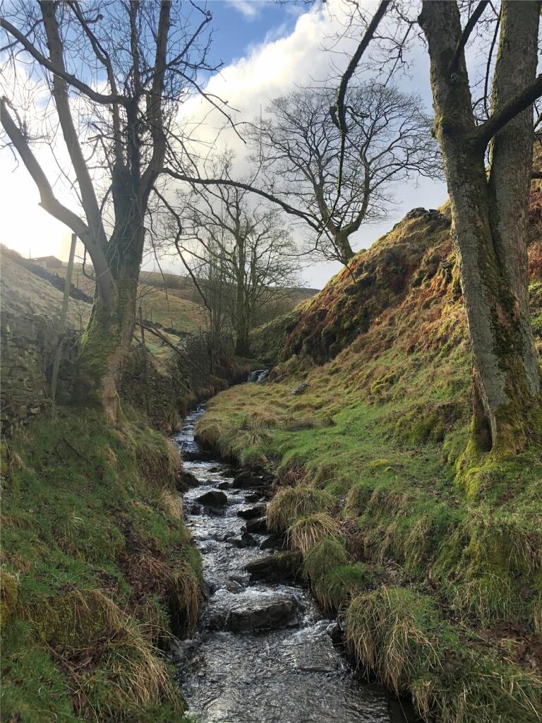 Stream