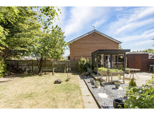 Garden View 3