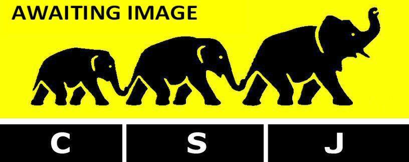 zzzzcsj logo awaiting image.jpg