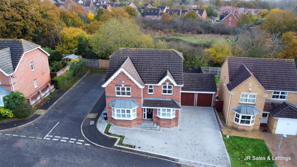 dji_fly_20241113_115202_630_1731498746919_photo_op