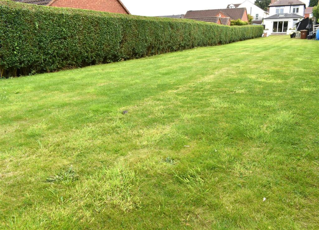 rear garden 3.JPG