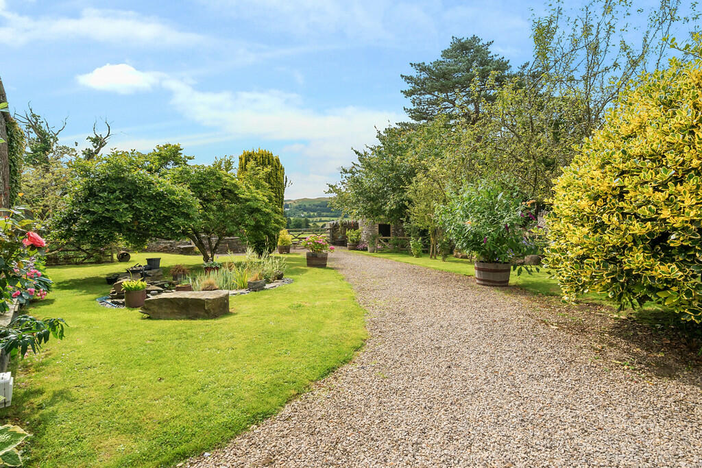 Side Garden